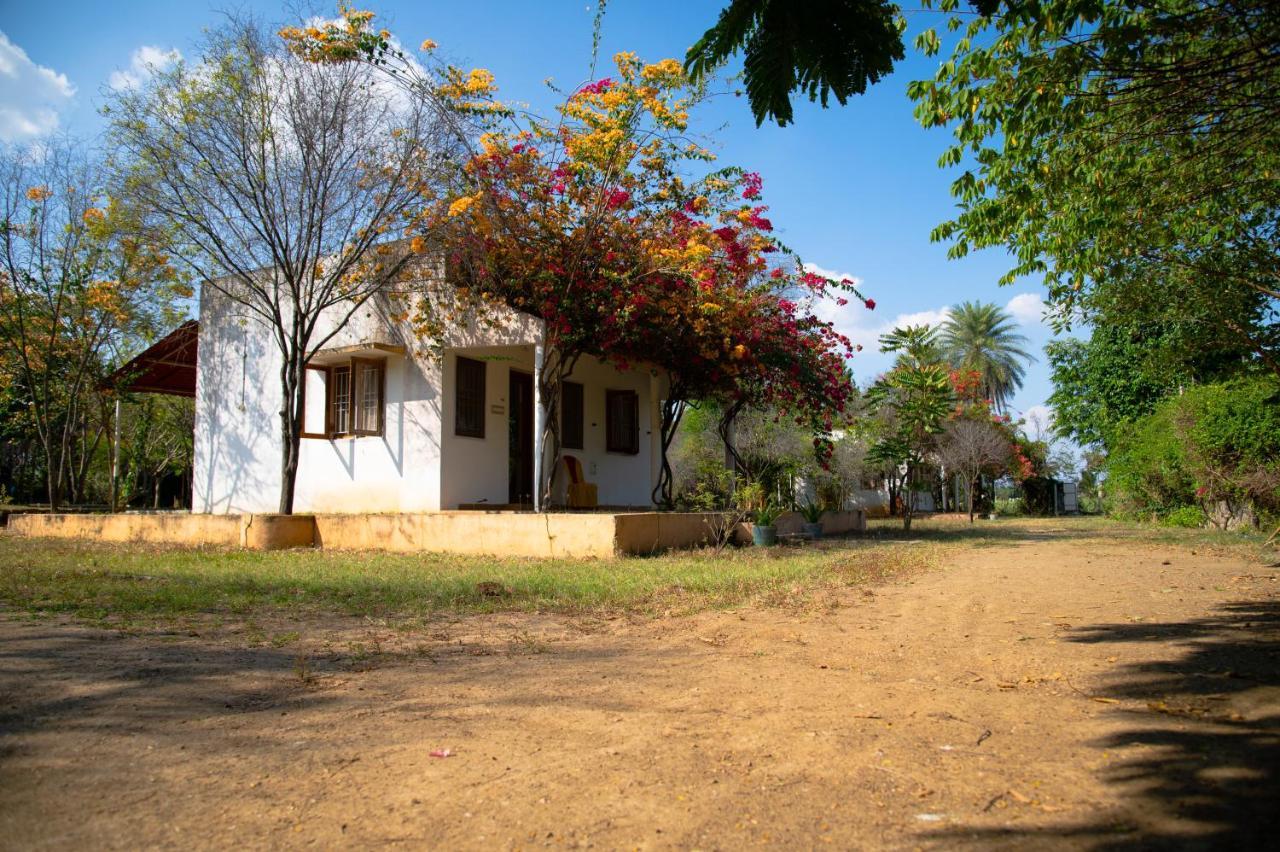 The Mountain Retreat Ξενοδοχείο Tiruvannāmalai Εξωτερικό φωτογραφία