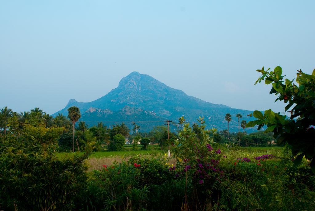 The Mountain Retreat Ξενοδοχείο Tiruvannāmalai Εξωτερικό φωτογραφία