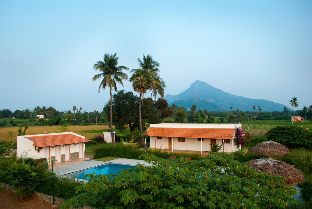 The Mountain Retreat Ξενοδοχείο Tiruvannāmalai Εξωτερικό φωτογραφία